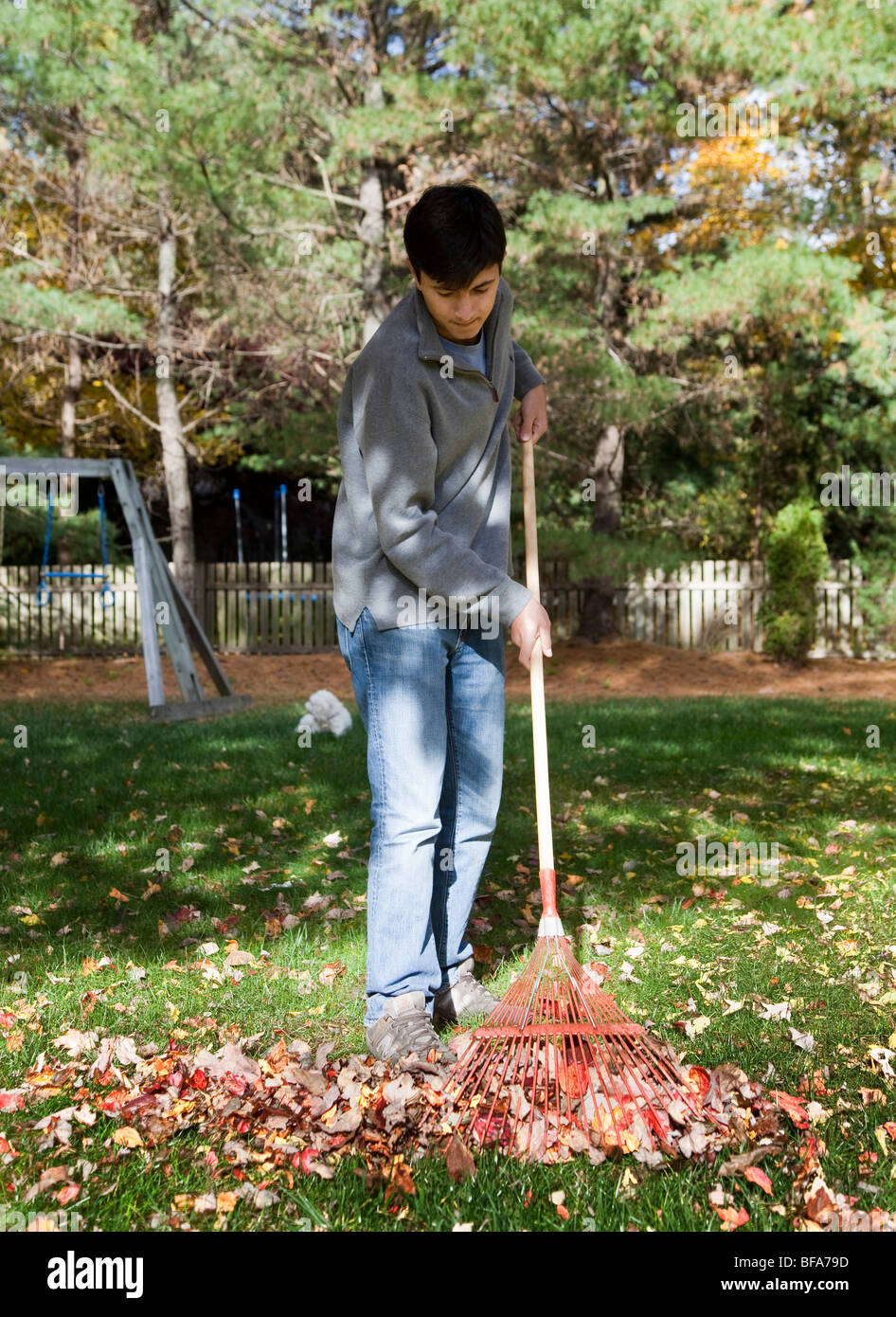 Raking money hires stock photography and images Alamy