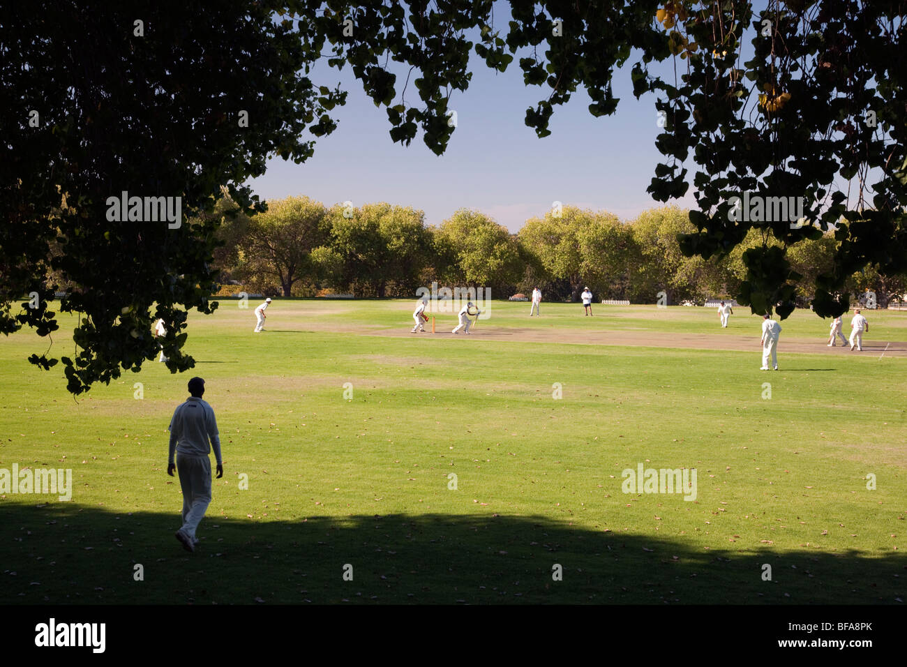 A local cricket game in the wine-growing region of Constantia, near Cape Town, South Africa Stock Photo