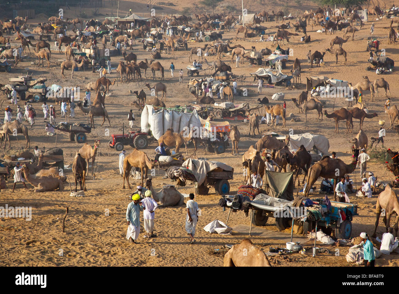 The Camel Fair in Pushkar India Stock Photo