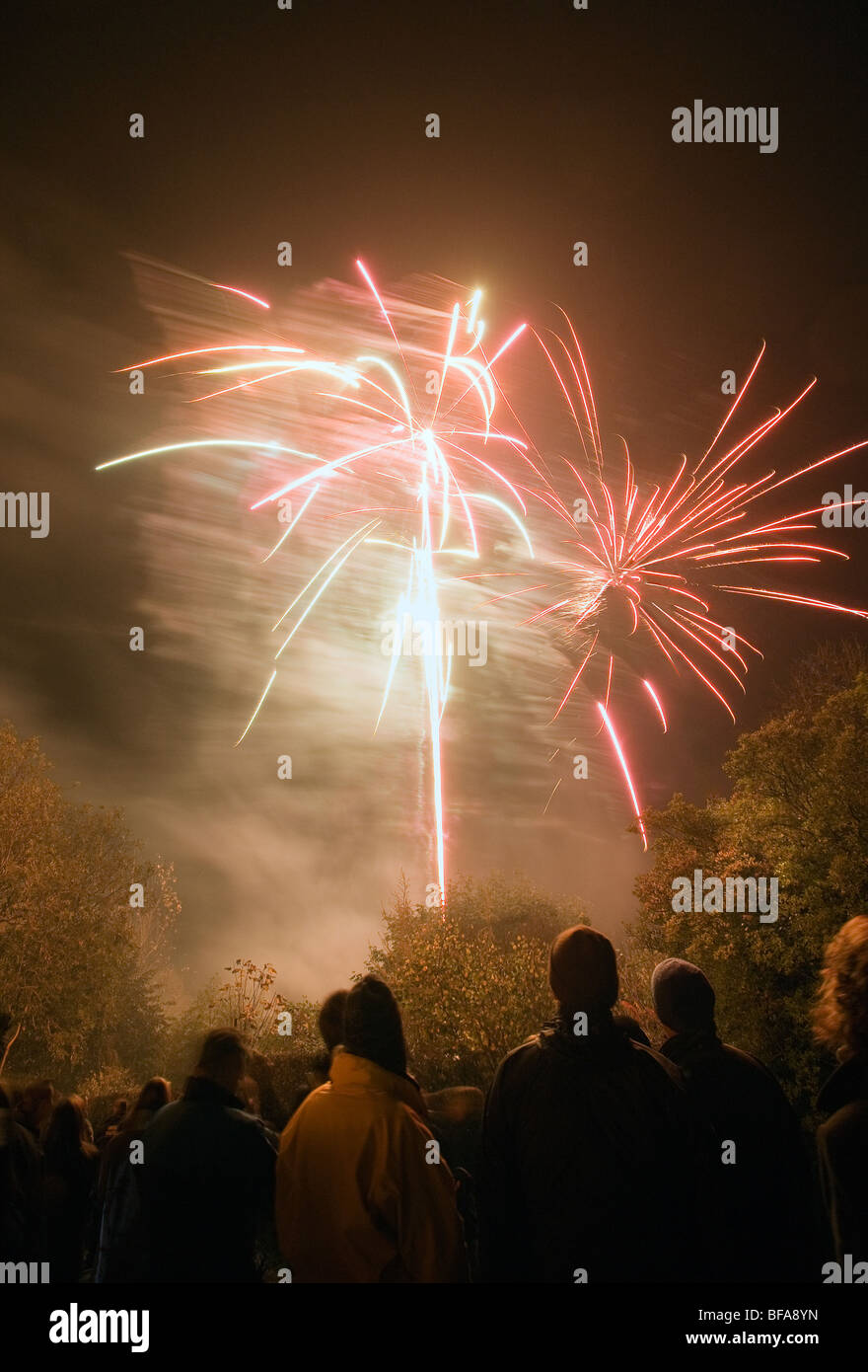 Group of revellers in front of bonfire on Bonfire Night November the 5th Stock Photo