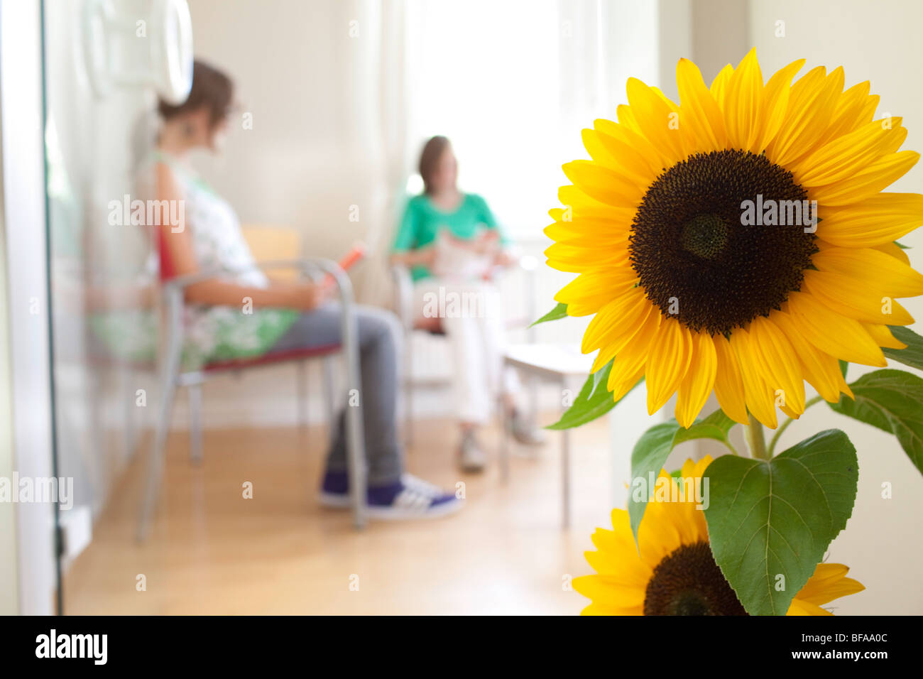 Waiting room of a gynaecologist . Stock Photo