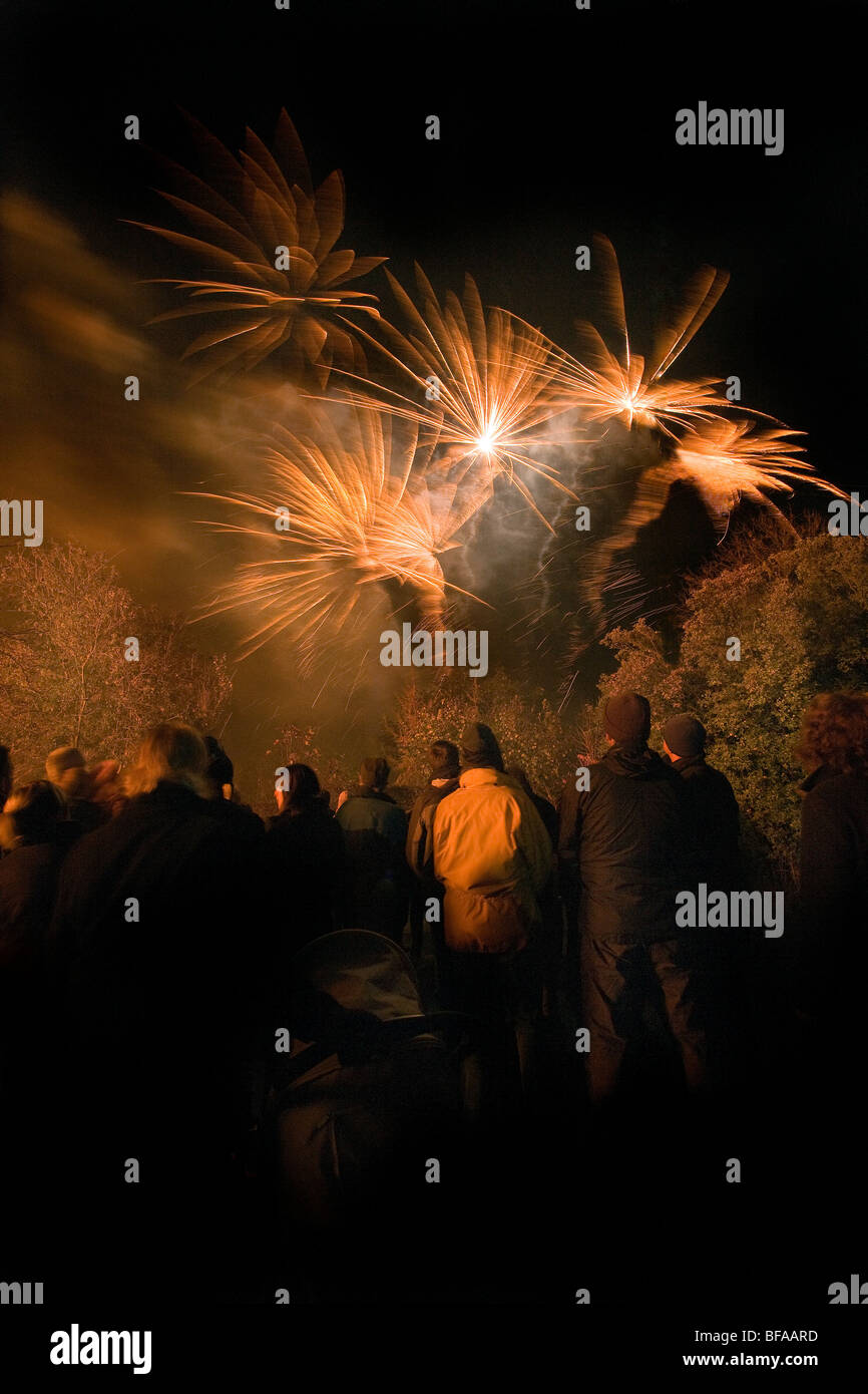 Crowds watch a firework burst into the night sky on Guy Fawkes  Bonfire Night, November the 5th Stock Photo