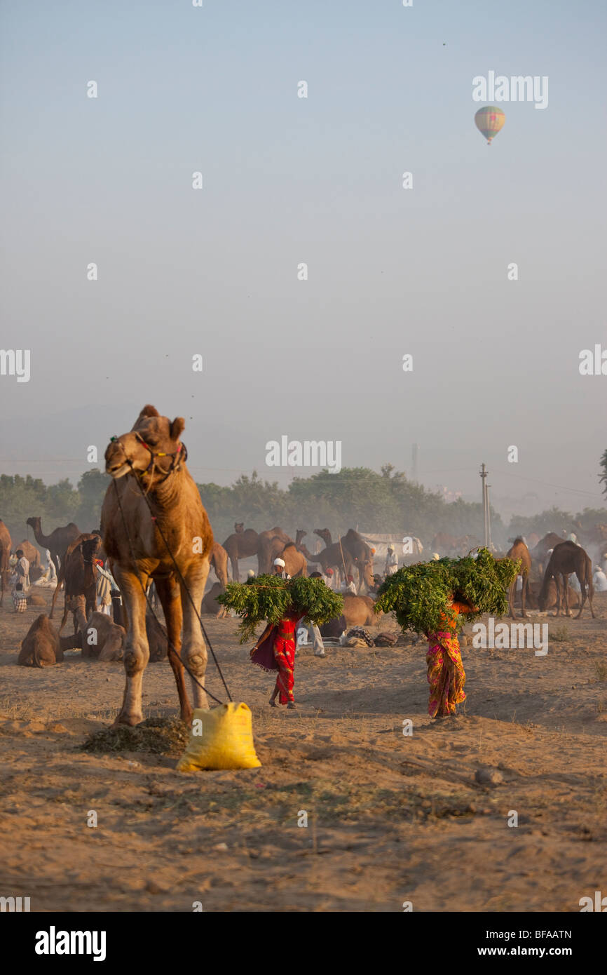 Women carrying food for camels and hot air balloon at the Camel Fair in Pushkar India Stock Photo