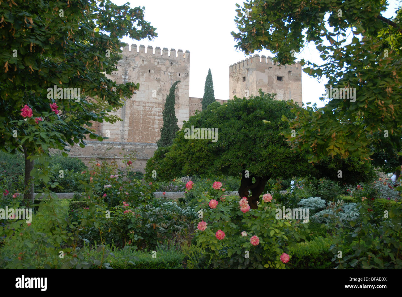 The Alcazaba from the gardens in front of Palacio Carlos V, The Alhambra, Granada, Andalusia, Spain Stock Photo