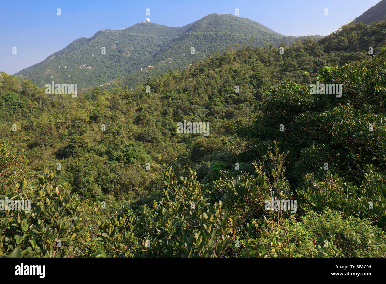 Tai Tam Country Park in Hong Kong. Stock Photo