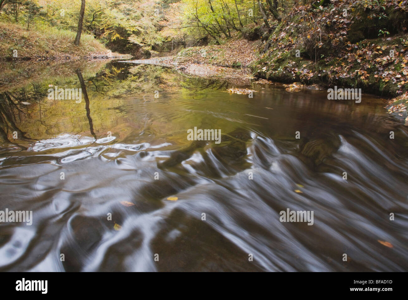 Stream early fall, Raven Rock State Park, Lillington, North Carolina, USA Stock Photo