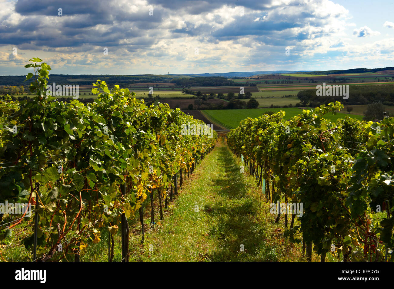 Wine cellars of the South Burgenland vineyards, Rechnitz, Austria Stock Photo