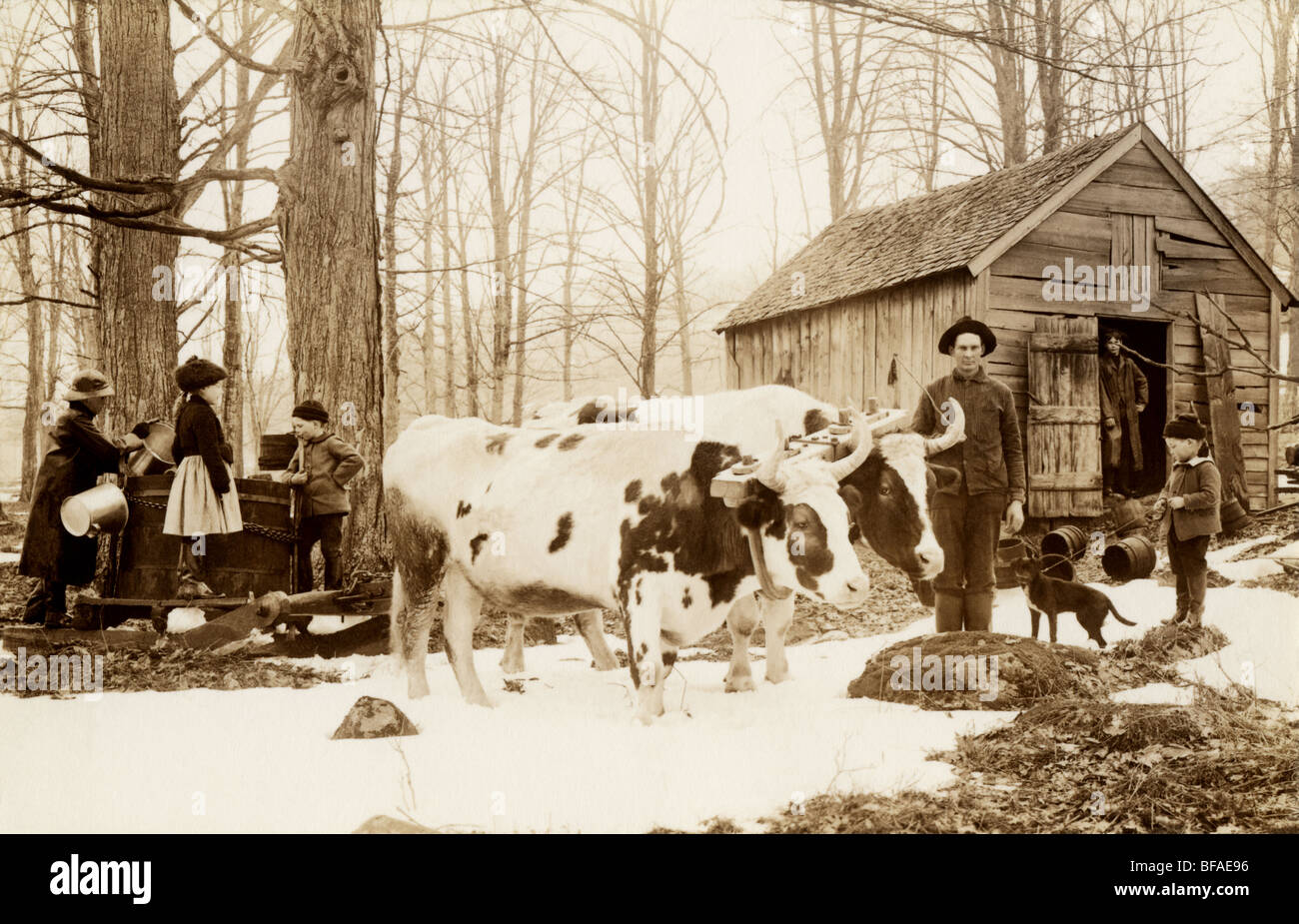 Hut of twigs and branches hires stock photography and images Alamy