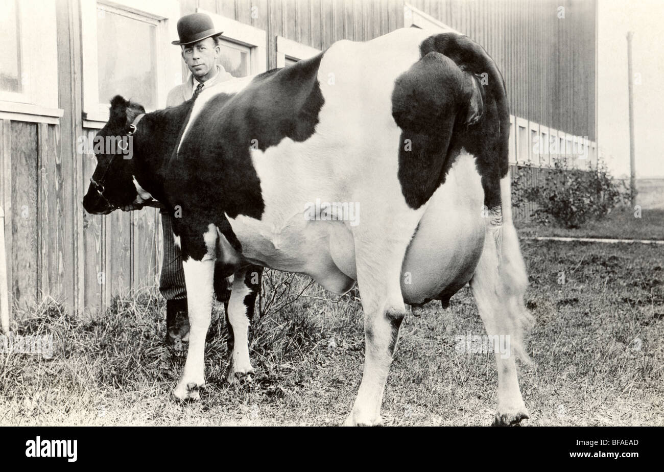 Farmer with Cow at Dairy Barn Stock Photo - Alamy