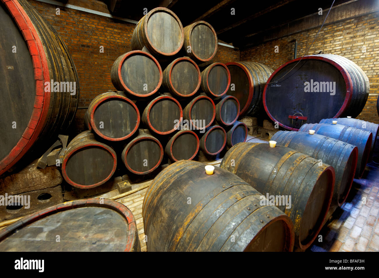 Kovacs wine cellars' wine barrels ( Kovacs Borhaz ) Hajos ( Hajos); Hungary; Stock Photo