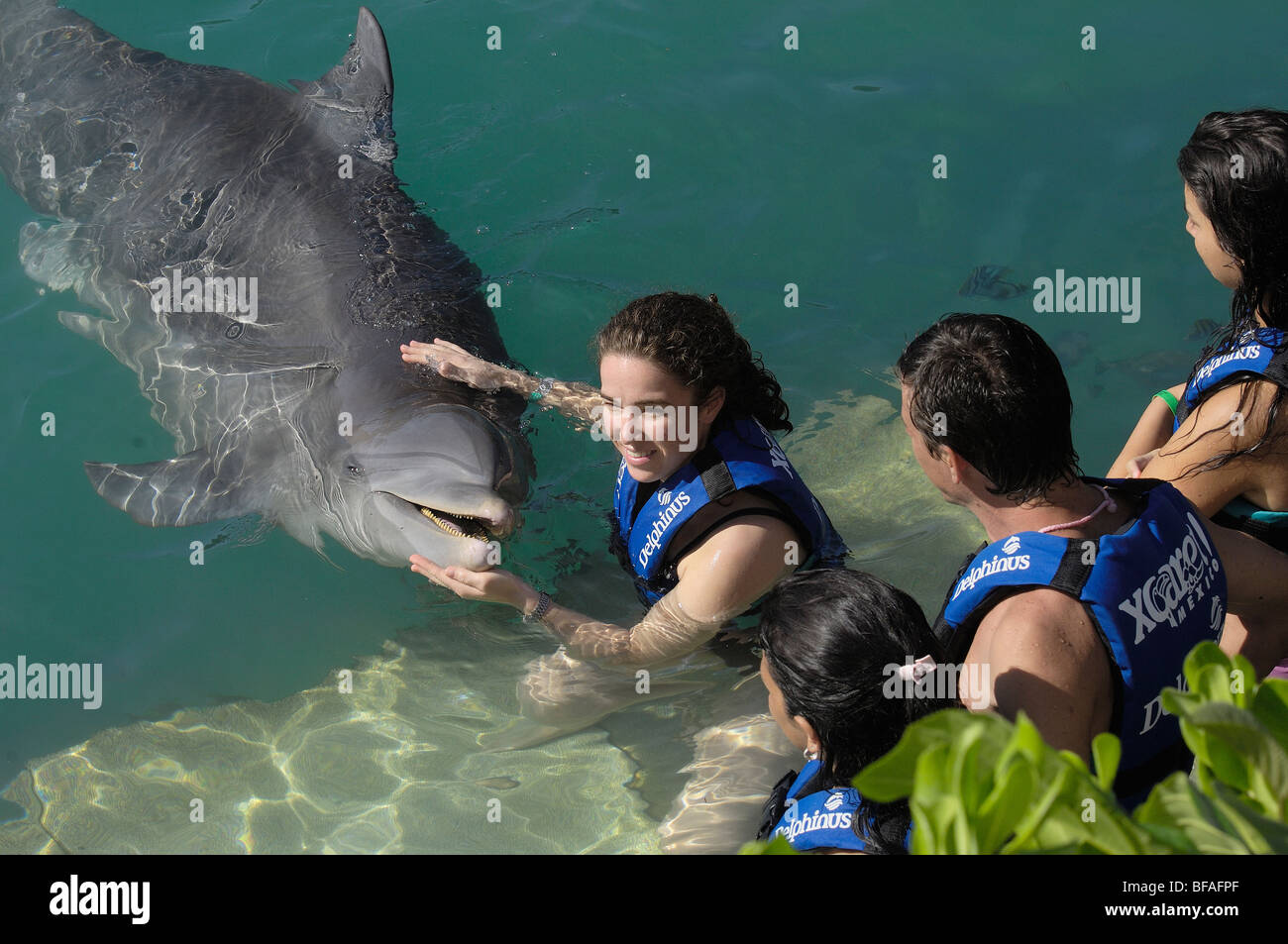 Swimming with dolphins area. Xcaret. Playa del Carmen. Quintana Roo state. Mayan Riviera