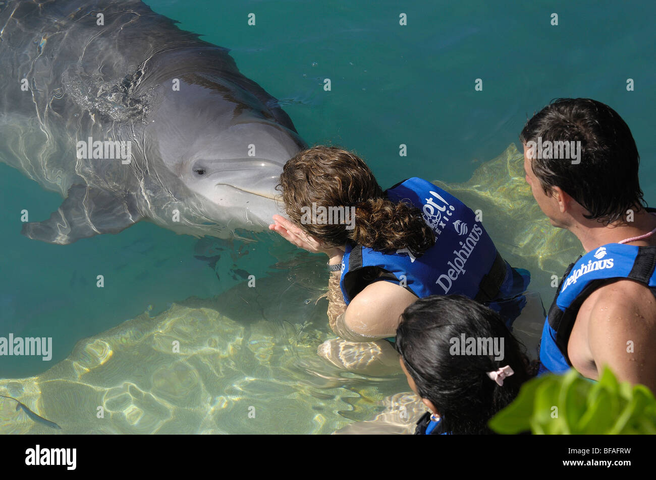 Swimming with dolphins area. Xcaret. Playa del Carmen. Quintana Roo state. Mayan Riviera
