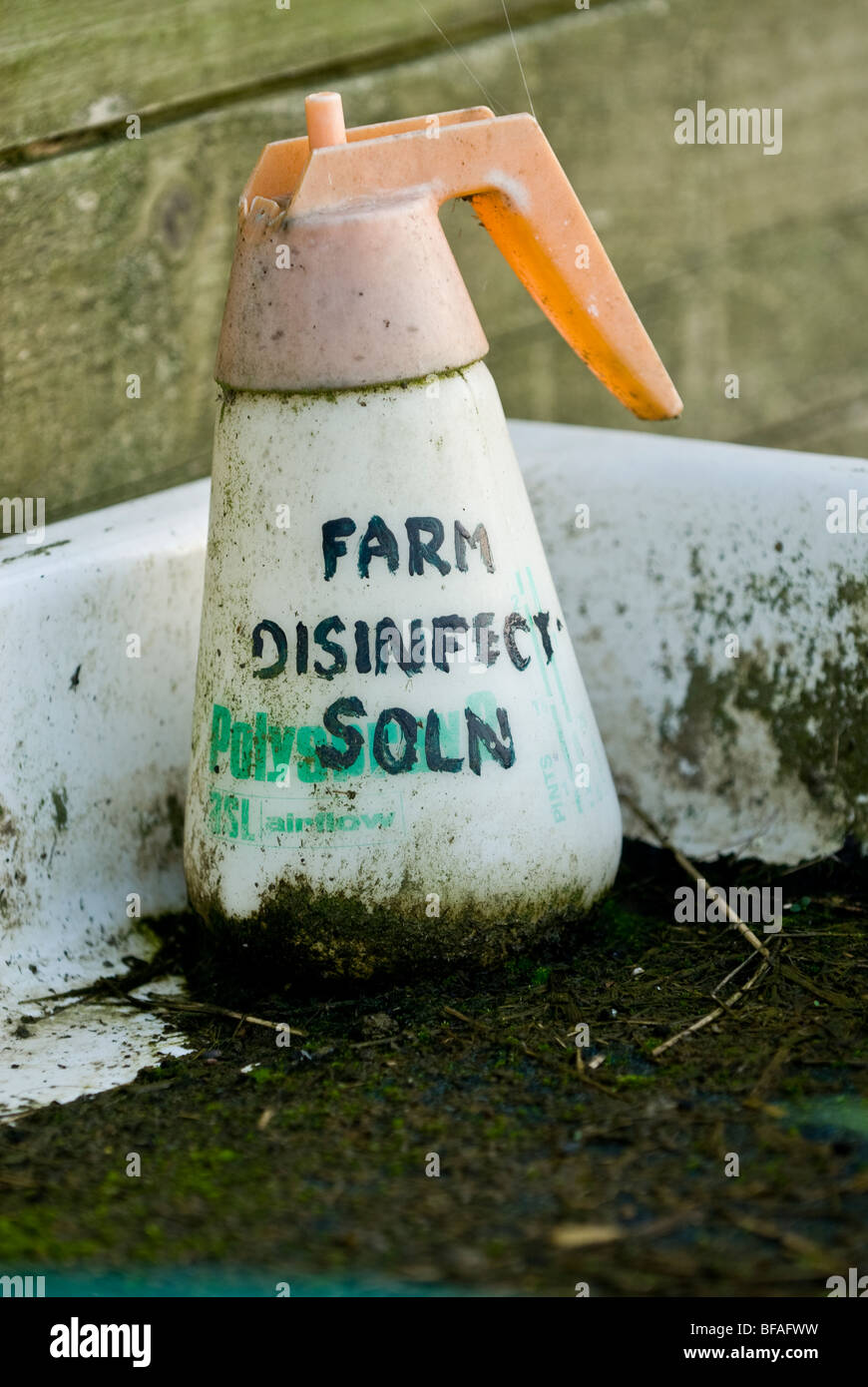 Plastic container with disinfectant solution standing in a dirty boot