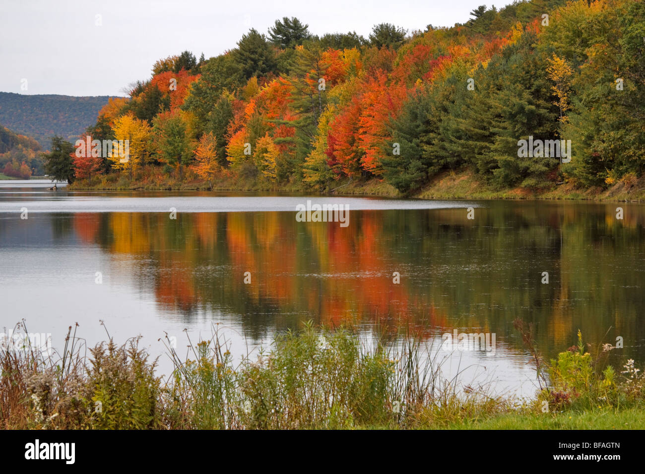 Quaker Lake, Allegany State Park, New York Stock Photo Alamy