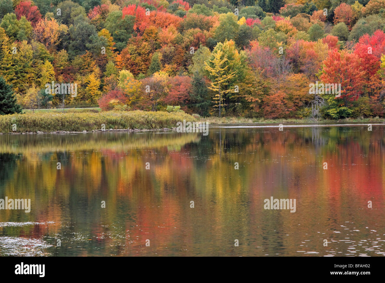 Quaker Lake, Allegany State Park, New York Stock Photo Alamy