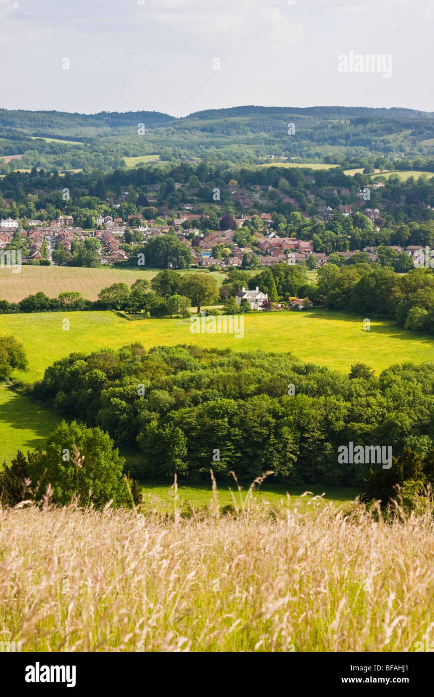 View of Leith Hill from Ranmore Common on the North Downs in summer Stock Photo