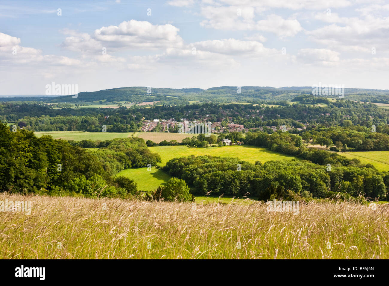 View of Leith Hill from Ranmore Common on the North Downs in summer Stock Photo