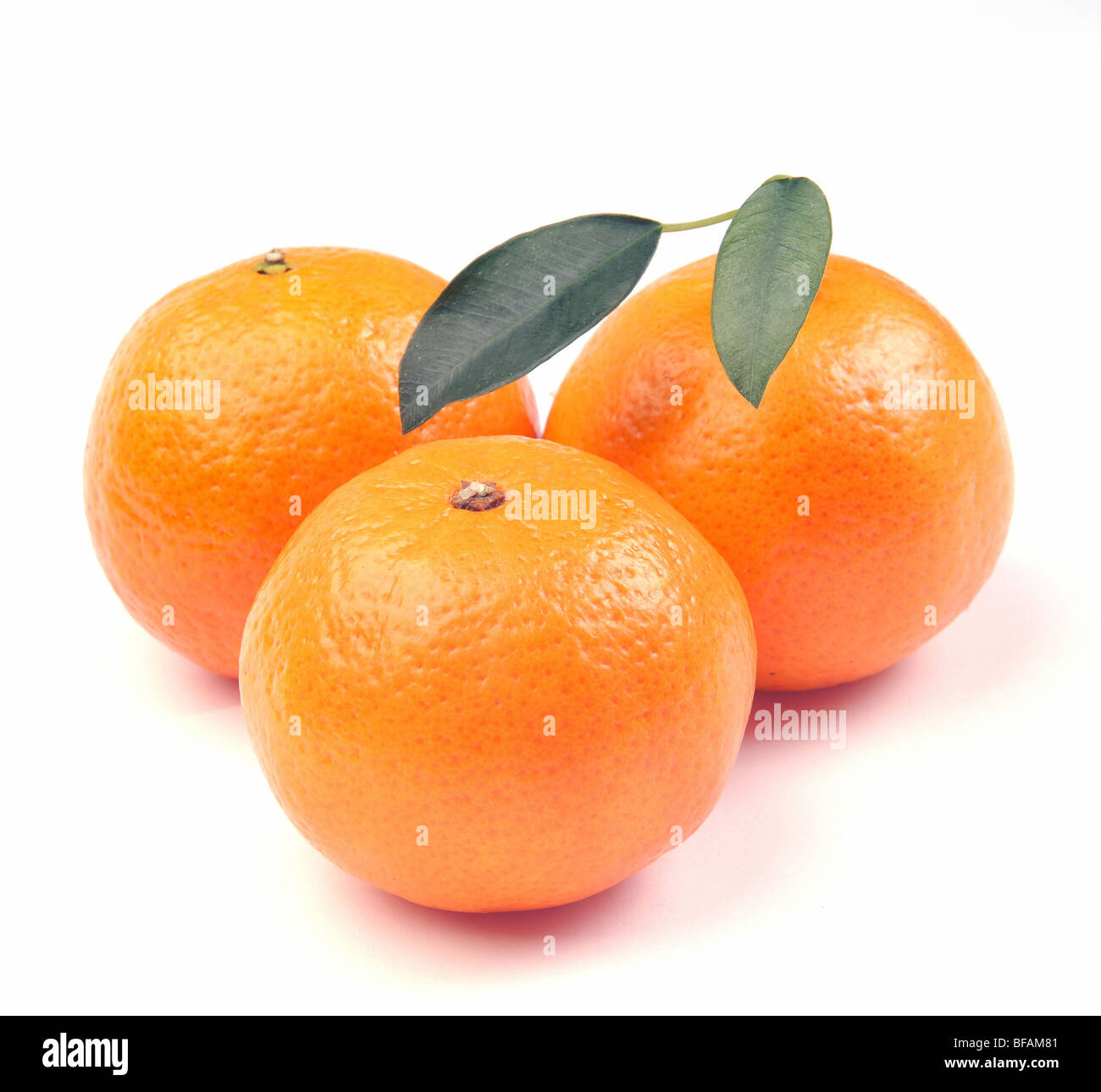 clementines on a white background Stock Photo Alamy
