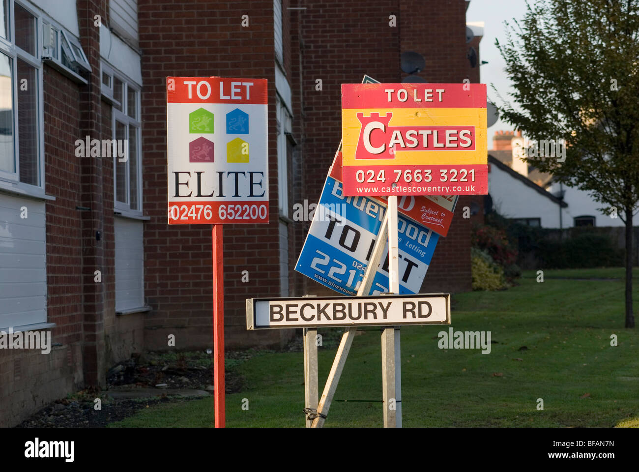 Multiple To Let signs Stock Photo
