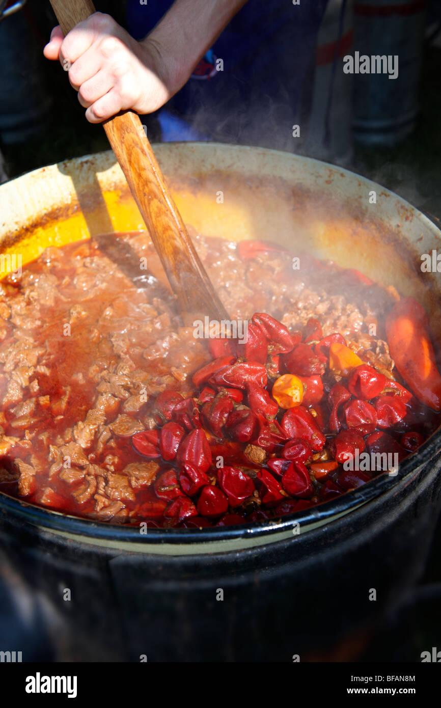 Beef Porkolt ( marhaporkolt). Paprika food festival. Hungary Stock Photo