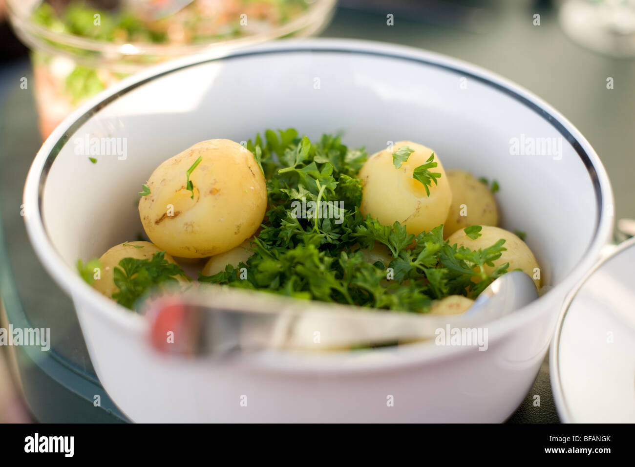 New potatoes and parsley, Fjerritslev, Northern Jutland, Denmark. Stock Photo