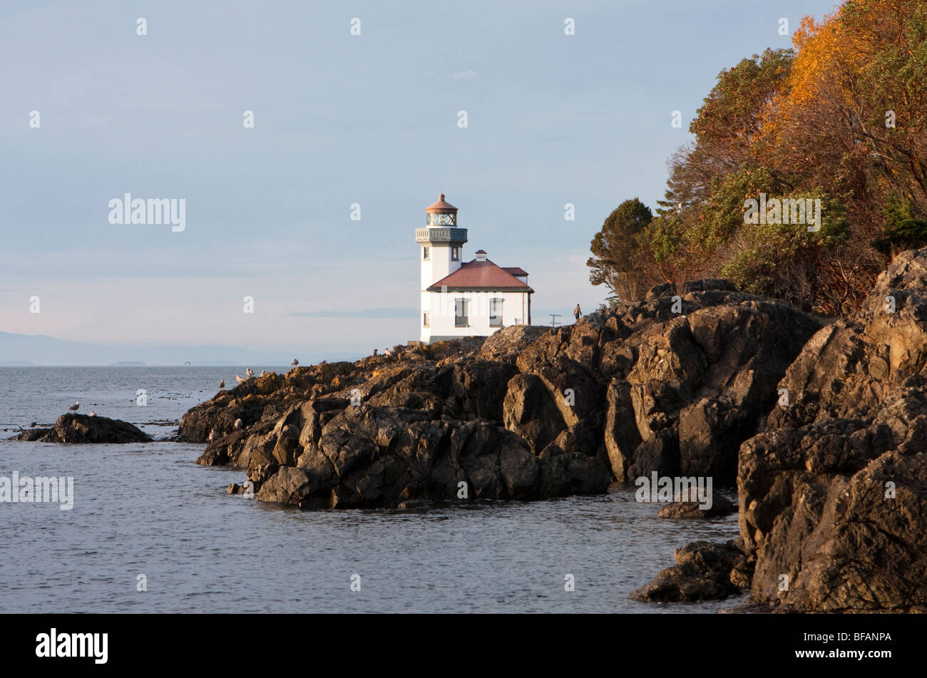 Lime Kiln lighthouse, surrounded by the rocky coastline, is illuminated by the warm light of a late autumn sunset. Stock Photo