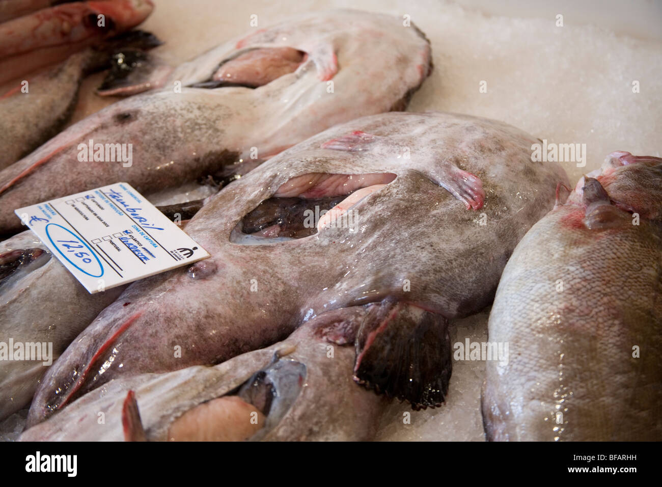 Fresh monkfish in indoor fish market, Lagos, Portugal Stock Photo Alamy