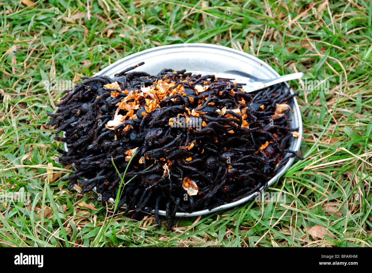Fried tarantulas, phnom penh hi-res stock photography and images - Alamy