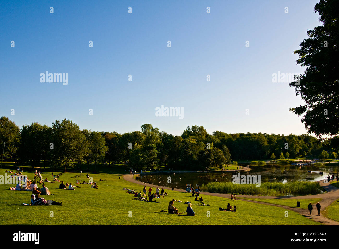 Mont royal park montreal canada stock photo alamy