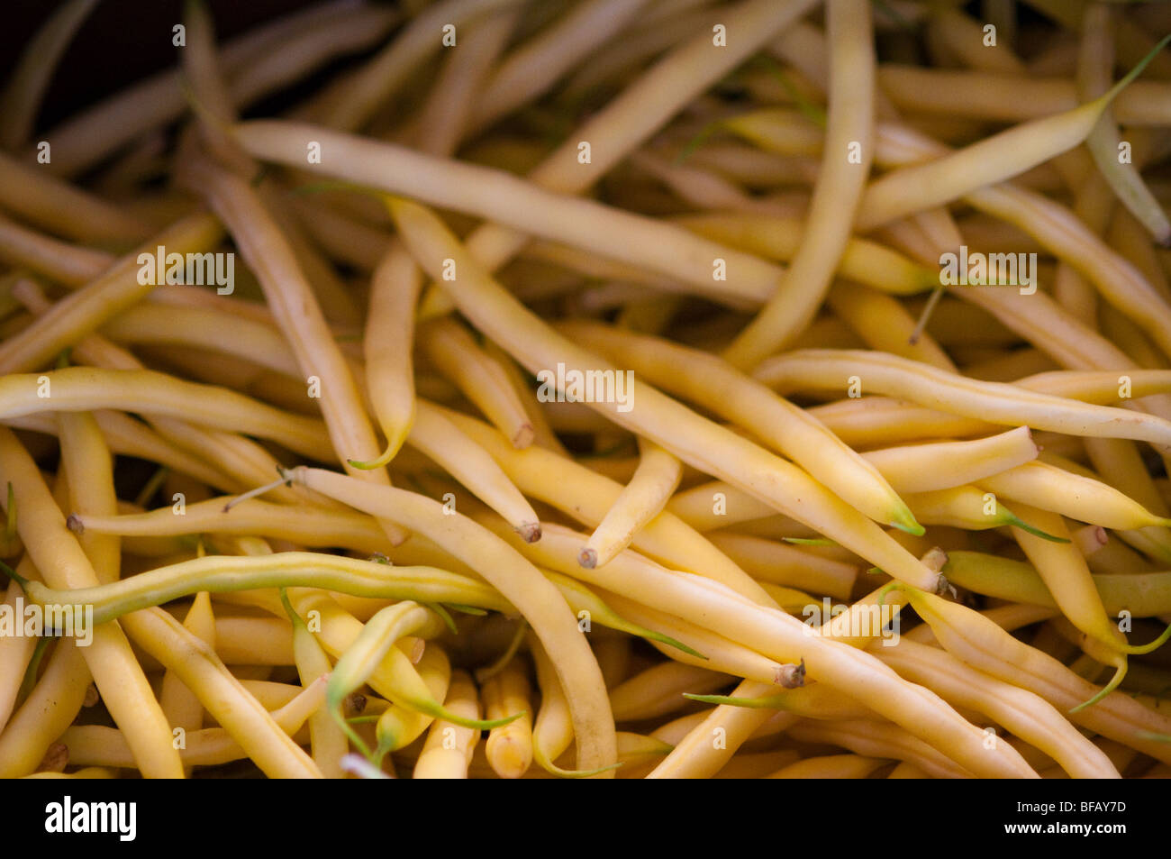 Yellow Wax beans Stock Photo Alamy