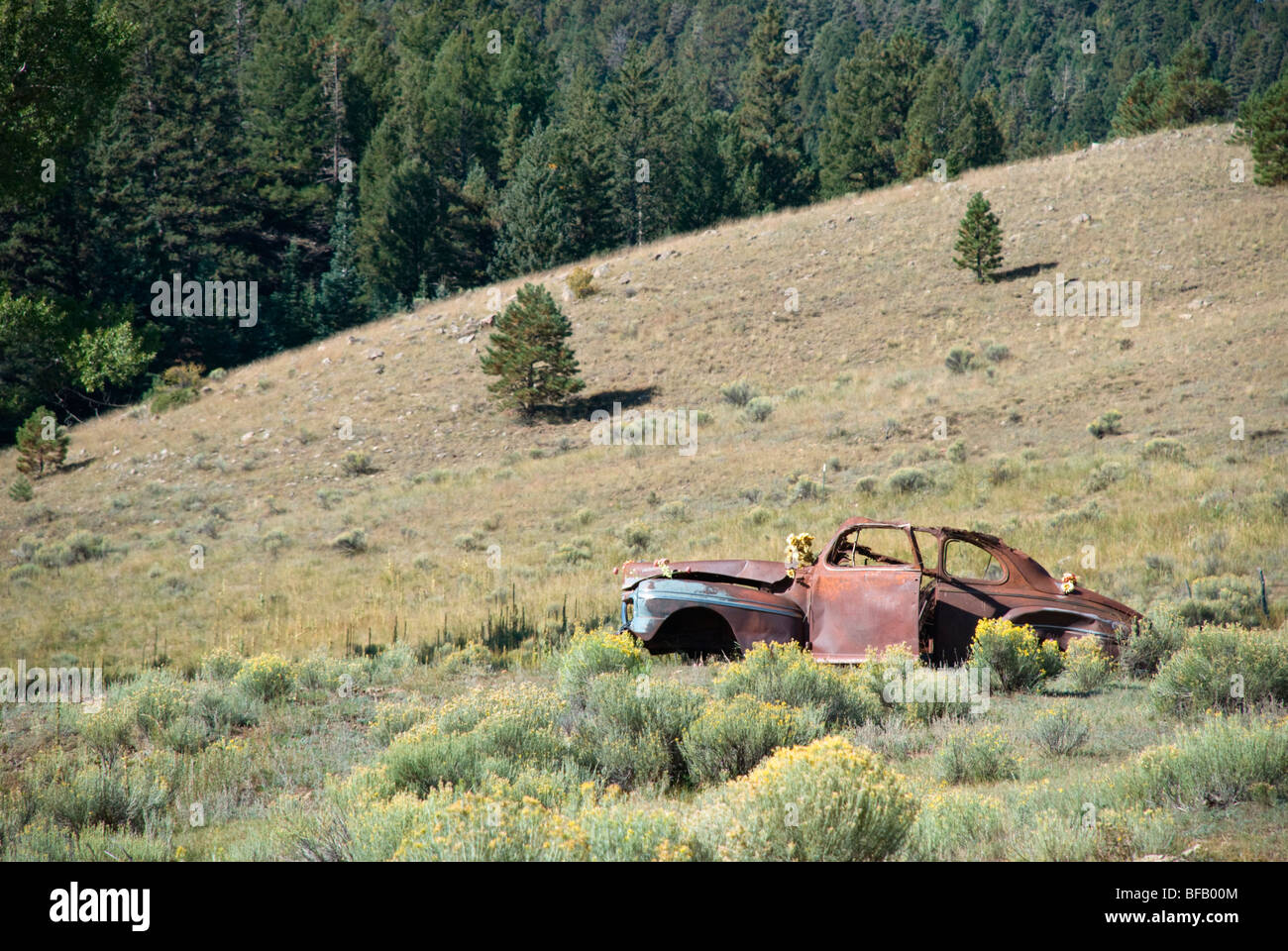A rusty old car in a cow pasture is one of only a few things left to see in Elizabethtown, New Mexico. Stock Photo