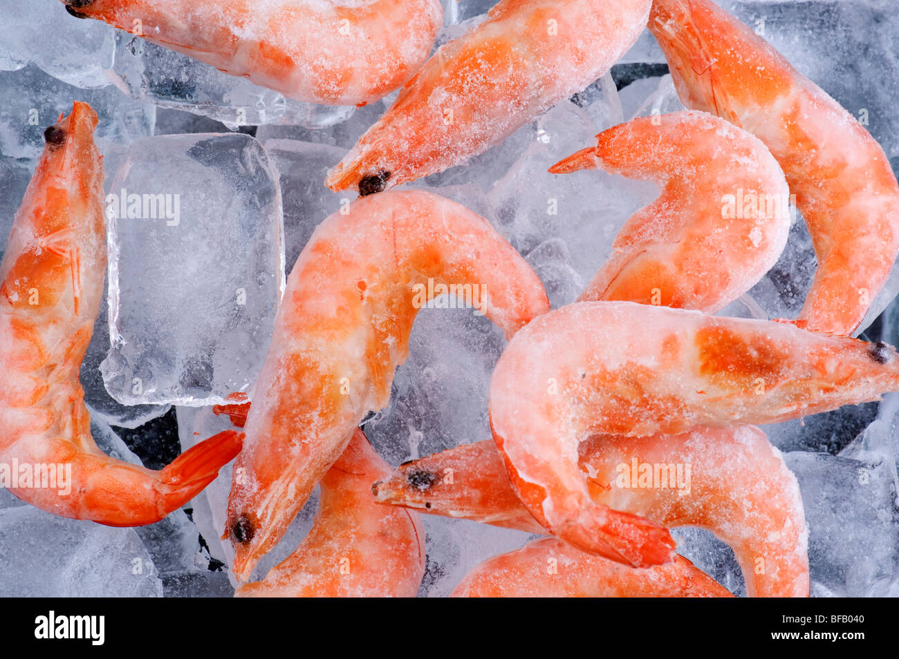 object on white Frozen shrimp close up Stock Photo Alamy