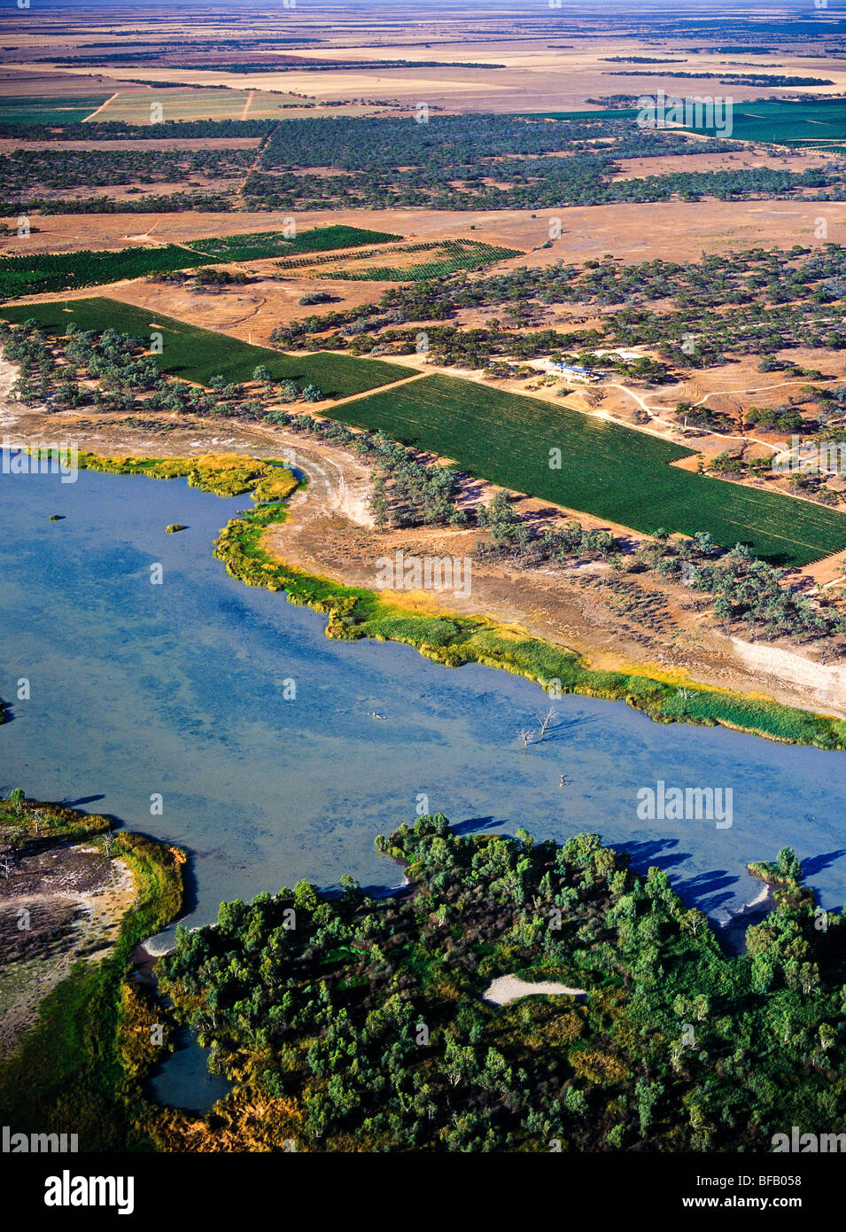Aerial wetland, rural South Australia Stock Photo Alamy