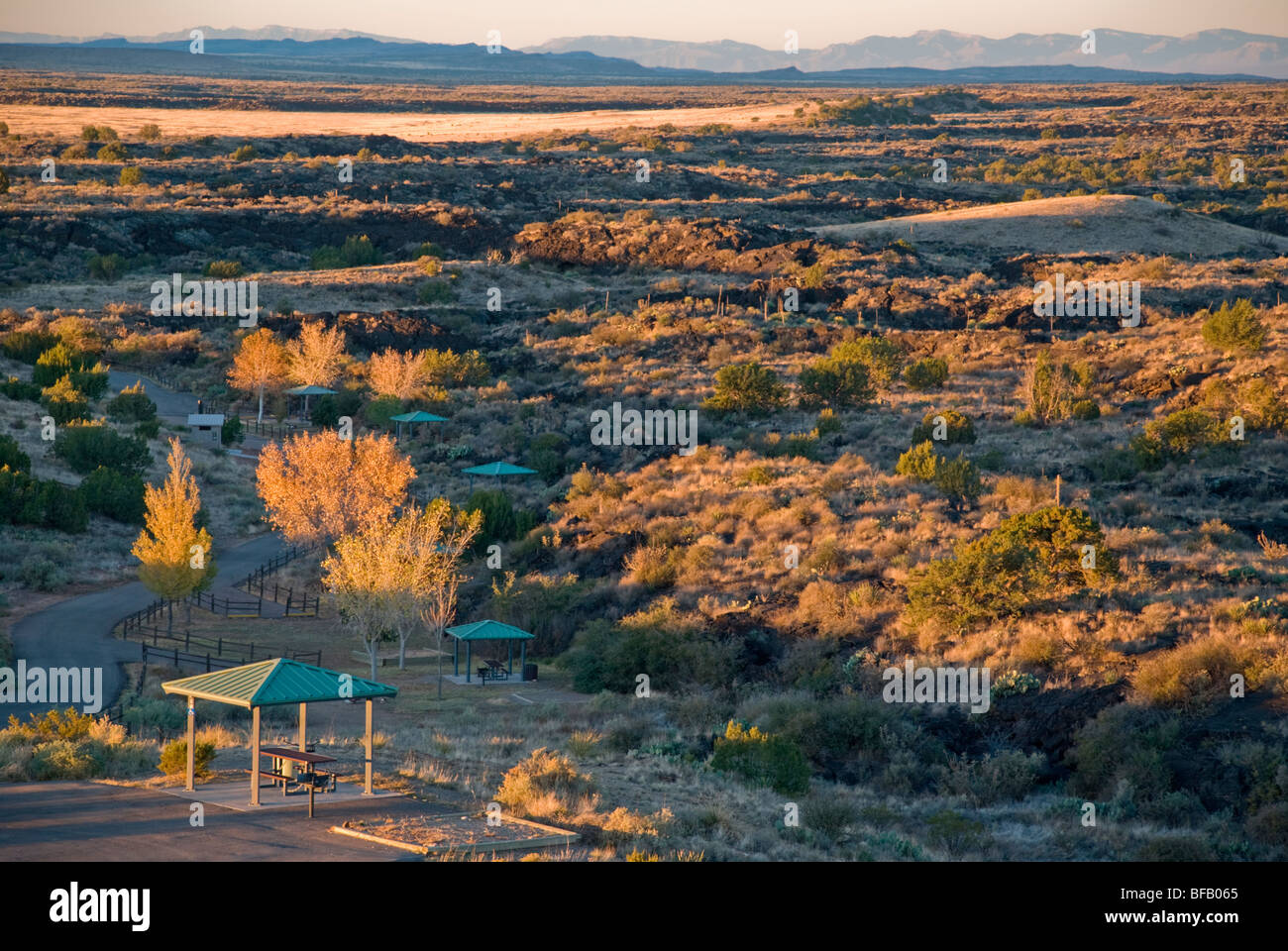 Sunrise brings amber light to the Valley of Fires State Park, near