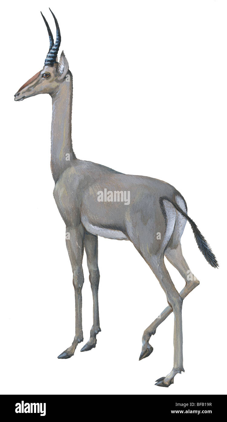 Porno ona qizi ular juda oxshash