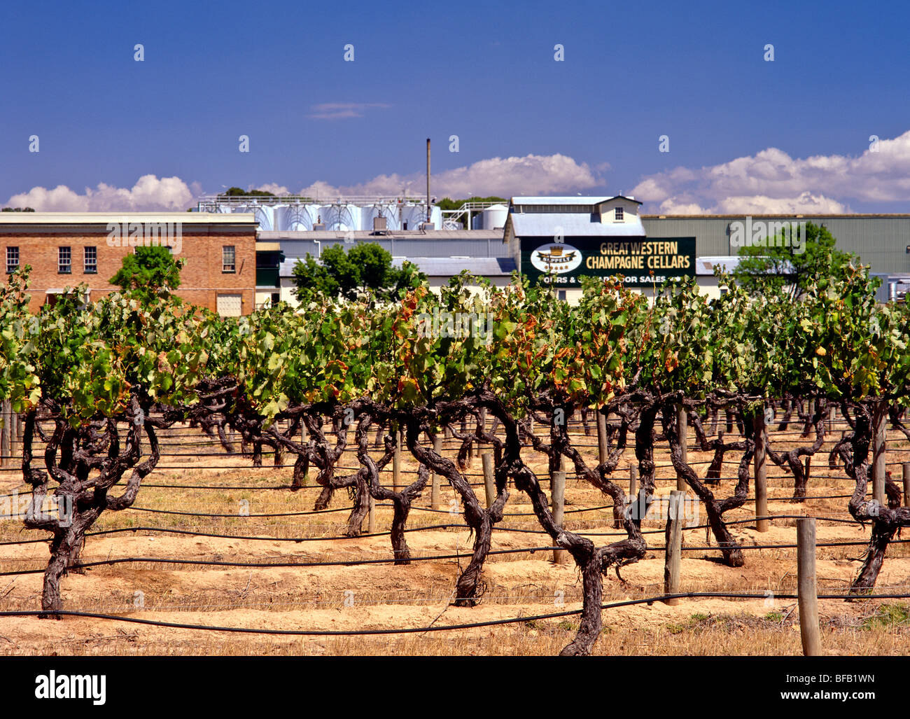 Winery, Victoria, Australia Stock Photo Alamy