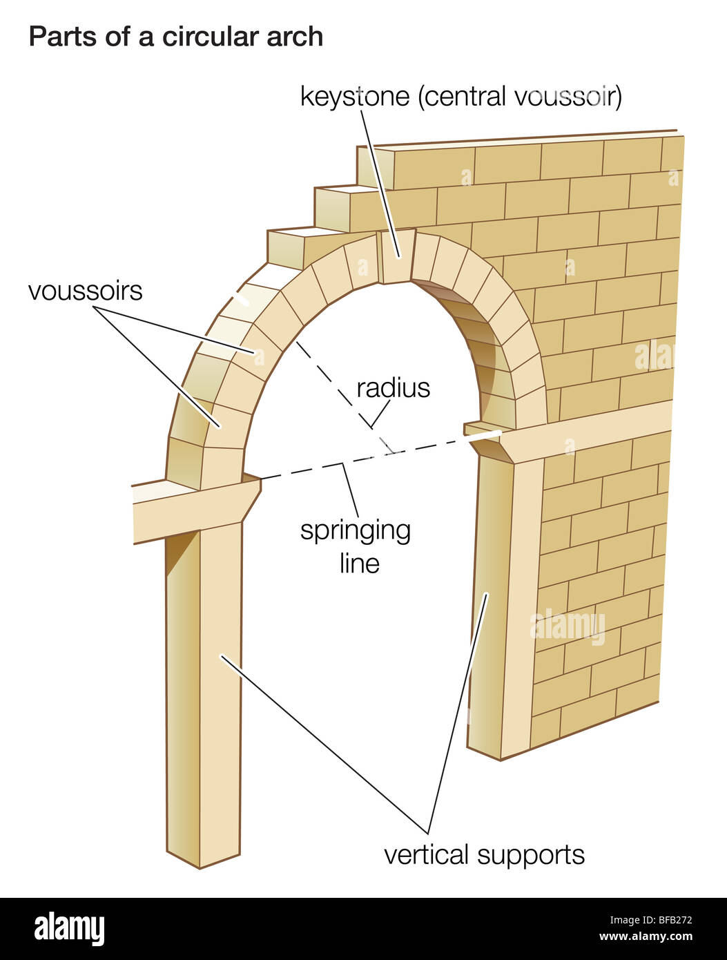 Springing Architecture