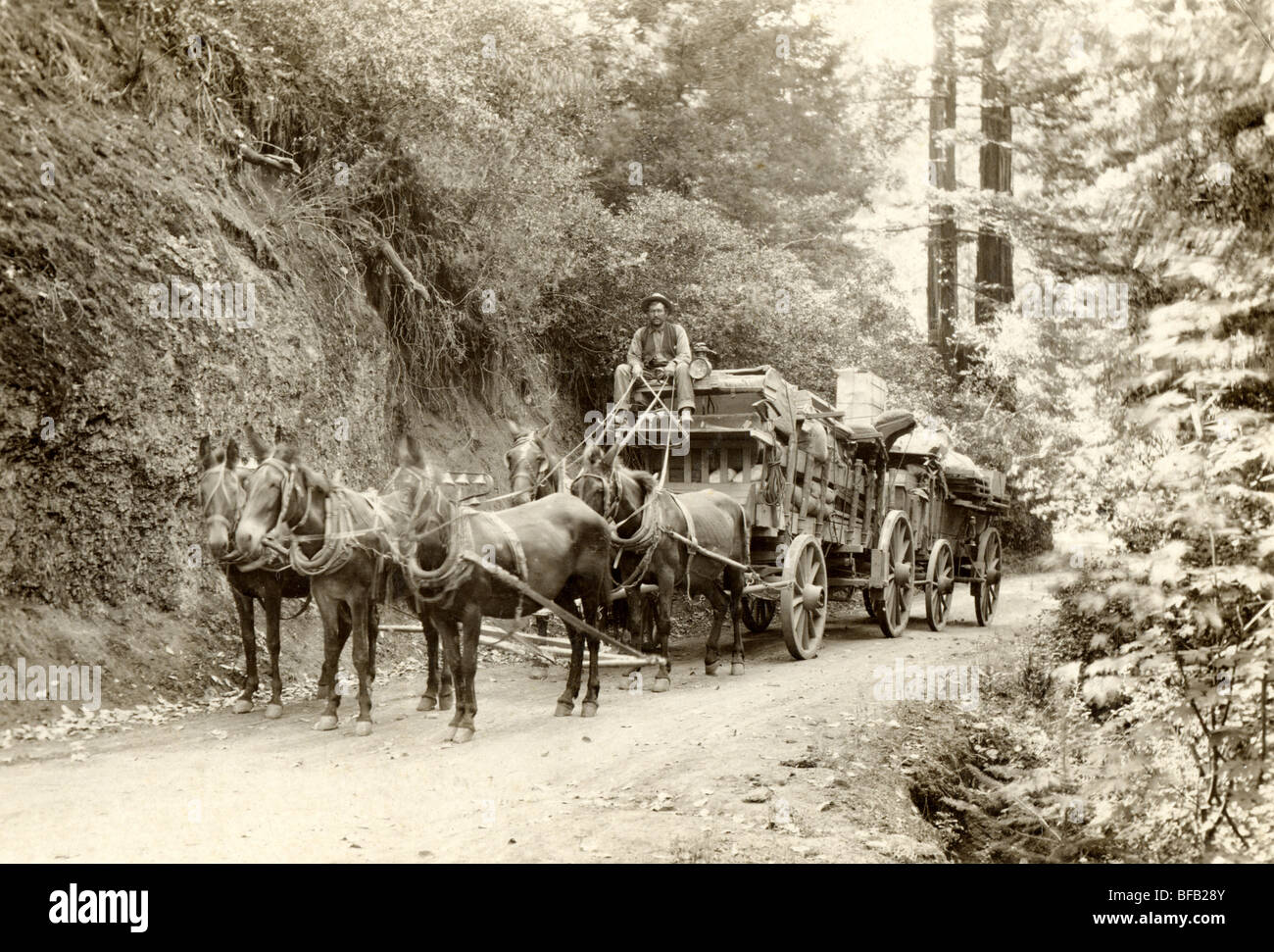 Stagecoach Freight Wagon Train Stock Photo Alamy