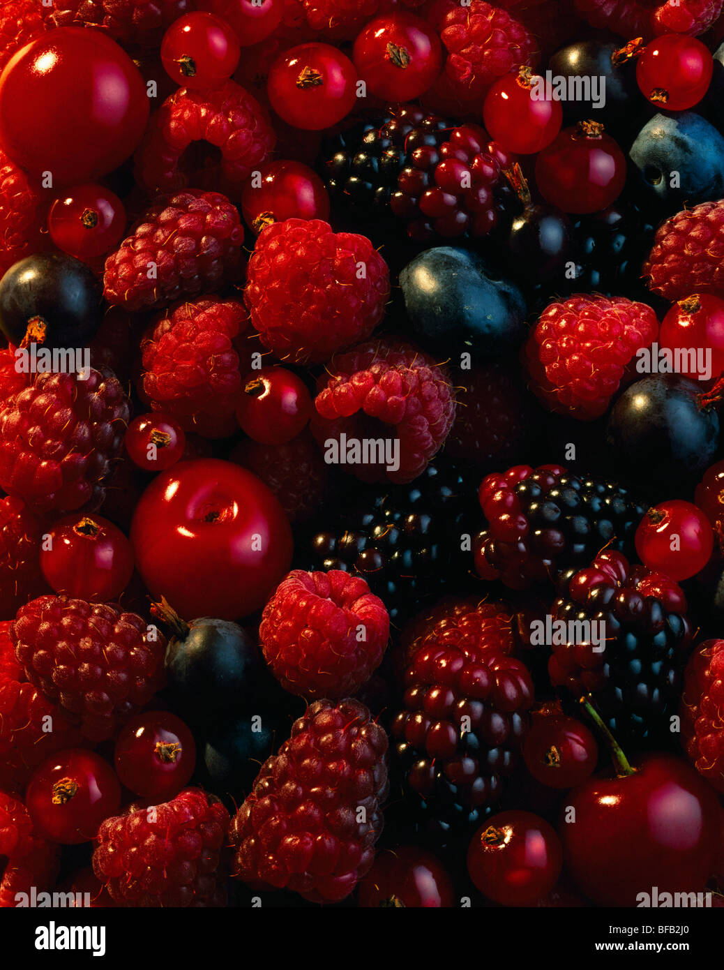 Rubus idaeus, Raspberry Stock Photo - Alamy