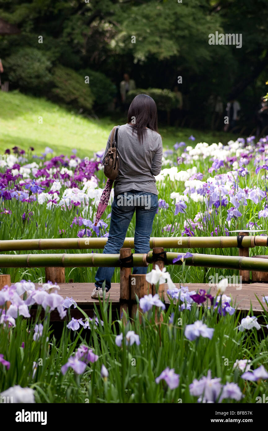 A young Japanese woman admires the irises at the Meiji Jingu Shrine, Tokyo Stock Photo