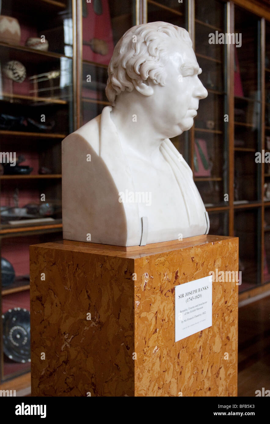 Marble bust of Sir Joseph Banks (1743-1820) botanist, trustee and benefactor of the British Museum, London WC1, England. Stock Photo
