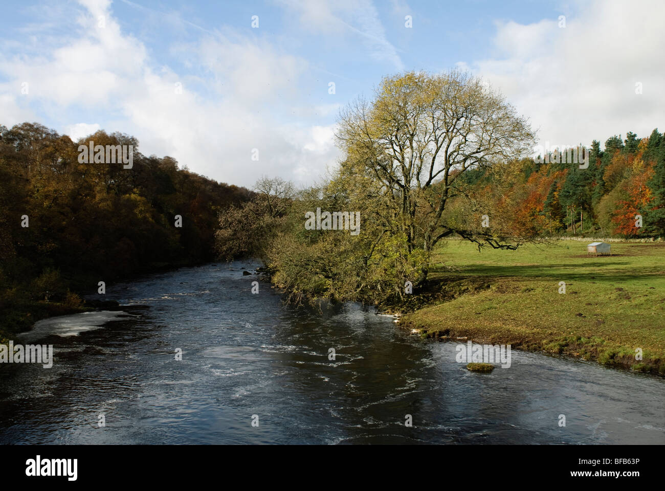 Upper Teesdale in Autumn colours Stock Photo