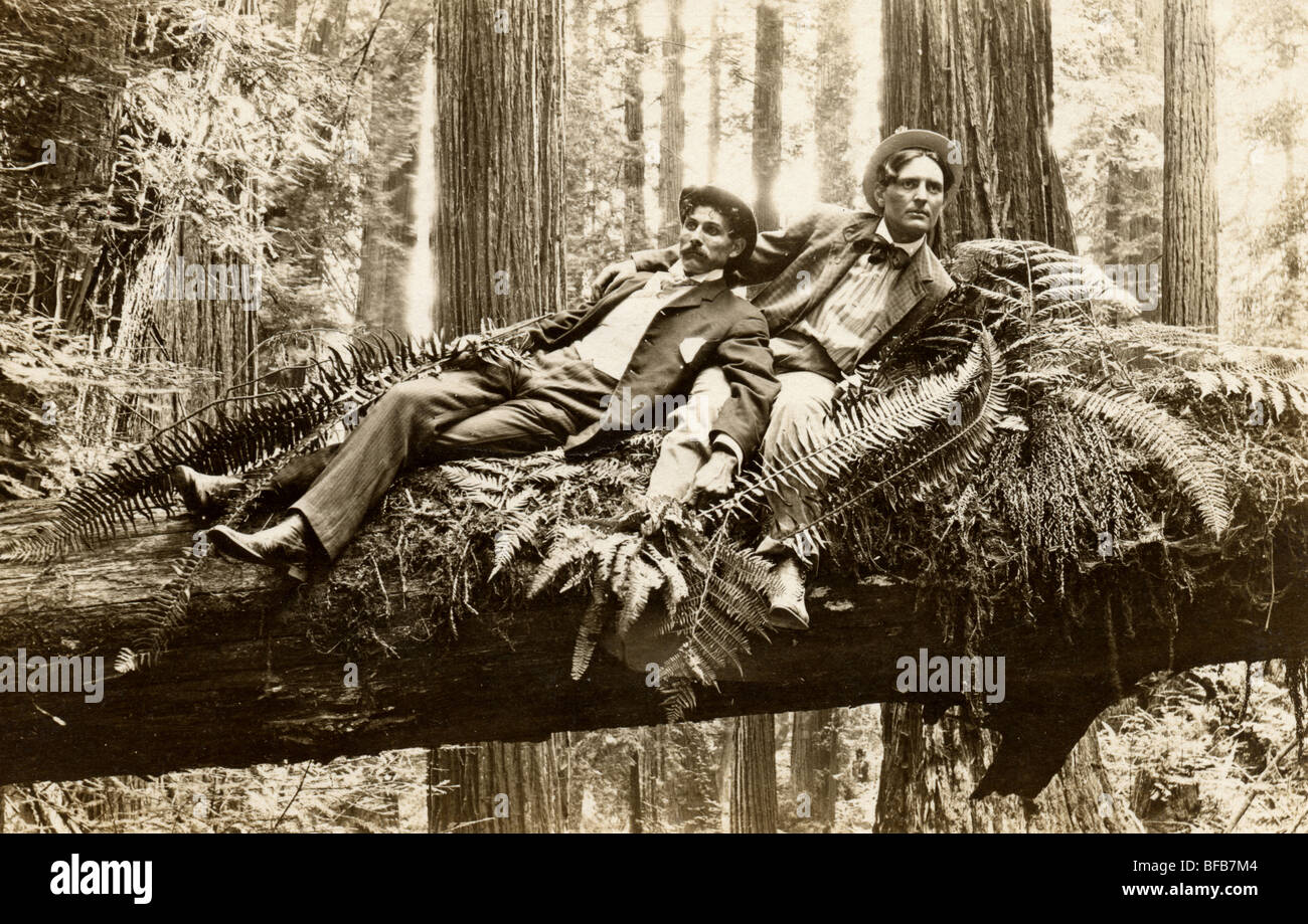 Two Men Lounging on Fallen Redwood Tree Stock Photo