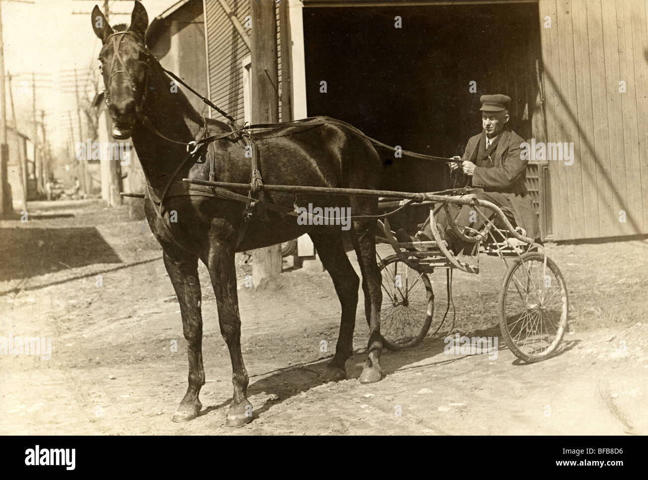 Older Man Driving Horse Drawn Sulky Cart Stock Photo