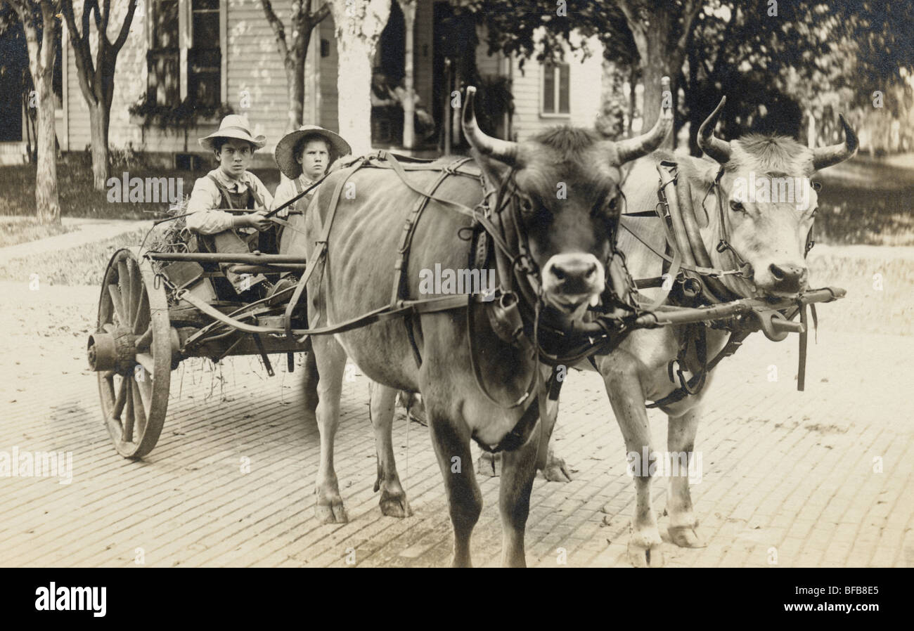 Two Boys & Cow Driven Two-Wheeled Cart Stock Photo