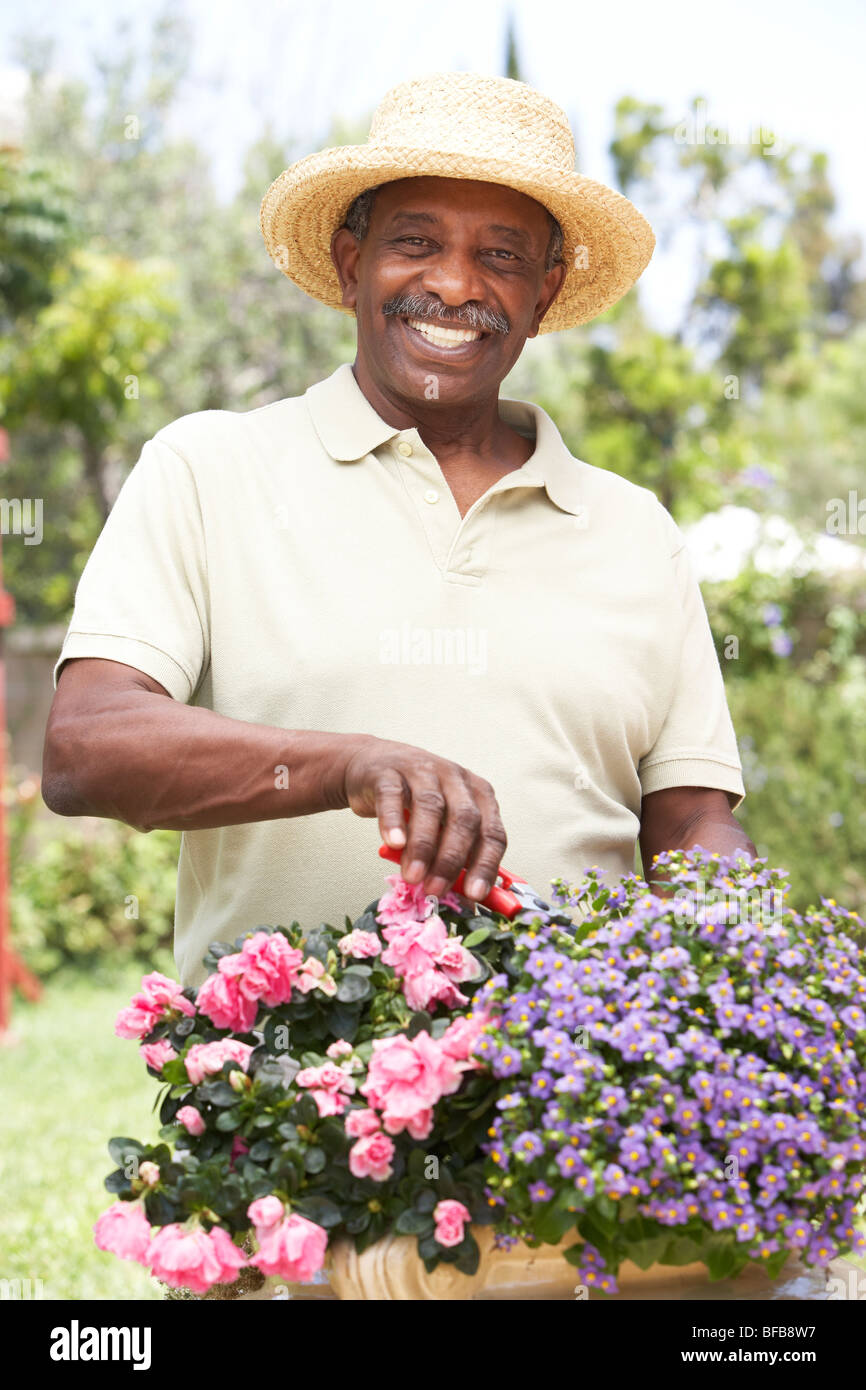 Senior man gardening hi-res stock photography and images - Alamy