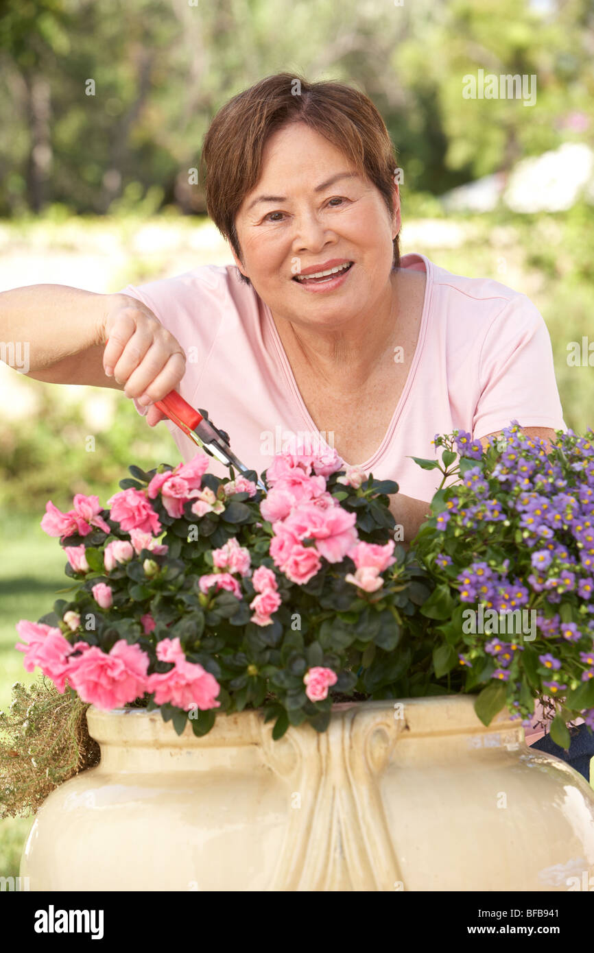 Senior Woman Gardening Stock Photo - Alamy