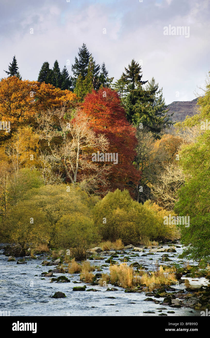 Autumn colours in the Wye river valley near Rhayader, October afternoon, mid Wales UK Stock Photo