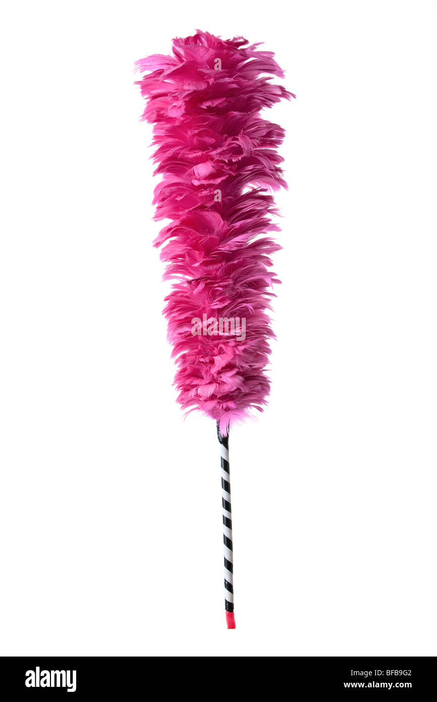 Pink Feather Duster 2 Stock Photo Alamy