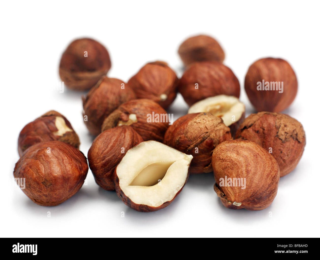 Hazel Fruit Cut Out Stock Images & Pictures Alamy